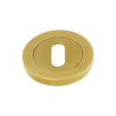 Alexander and Wilks - Concealed Fix Escutcheon - PVD Satin Brass - Standard Profile - AW391SBPVD - Choice Handles