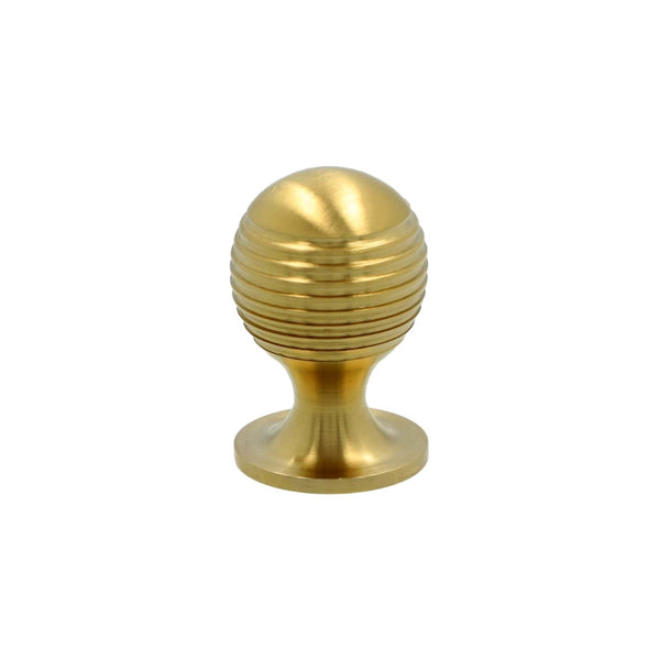 Alexander and Wilks - Caesar Cupboard Knob on Round Rose - Satin Brass PVD - 25mm - AW832-25-SBPVD - Choice Handles