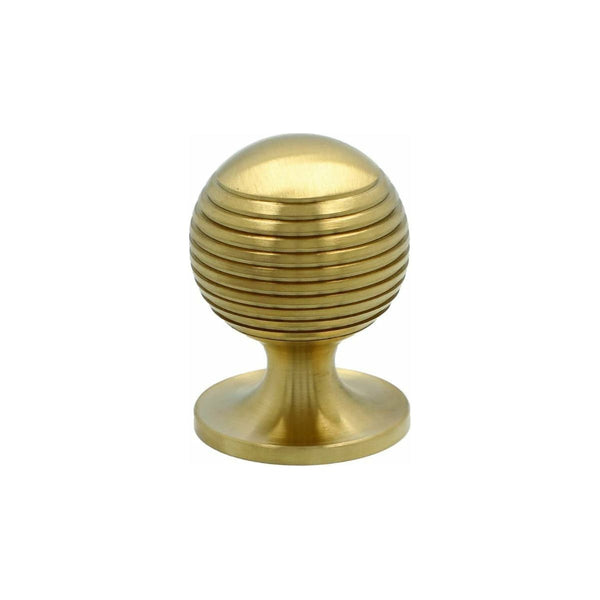 Alexander and Wilks - Caesar Cupboard Knob on Round Rose - Satin Brass PVD - 32mm - AW832-32-SBPVD - Choice Handles