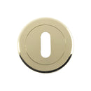 Serozzetta - Serozzetta Standard Profile Escutcheon - Polished Brass - SZM003PVD - Choice Handles